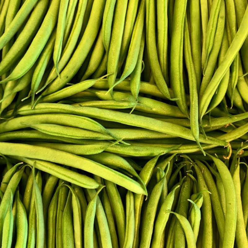 Kenya Beans