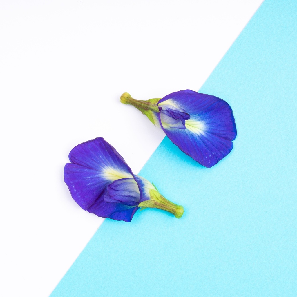 Blue Pea