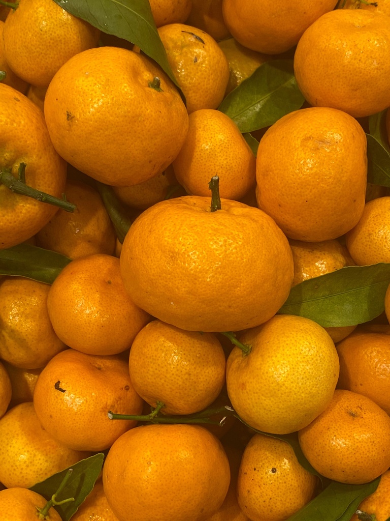Fresh Tangerine