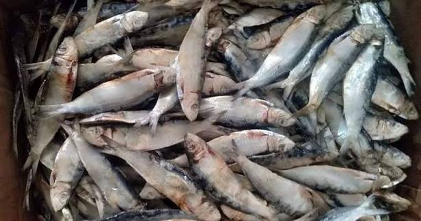 Fresh Salinas