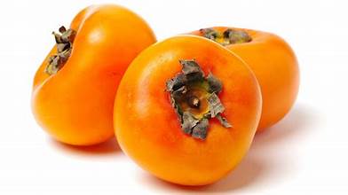 Korean Persimmon (pc)