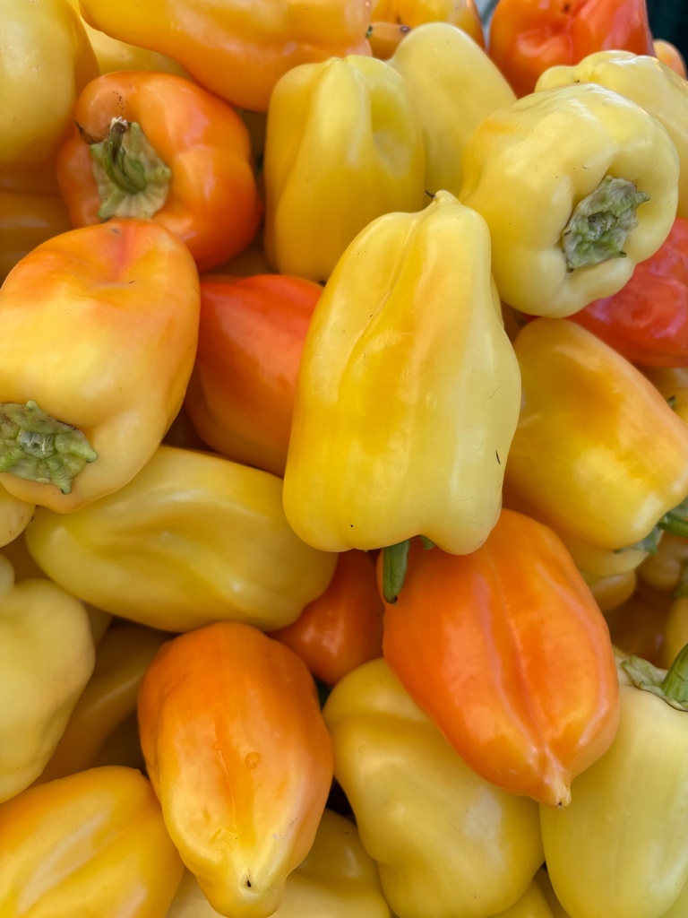 Bellpepper White