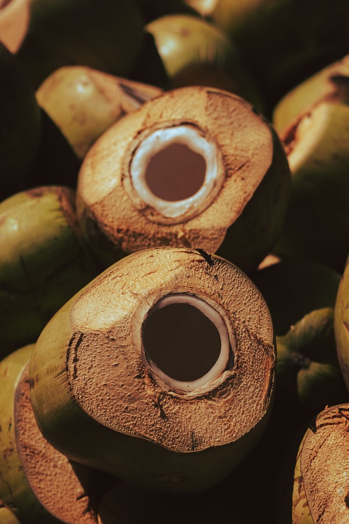 Buko Meat (not shredded)