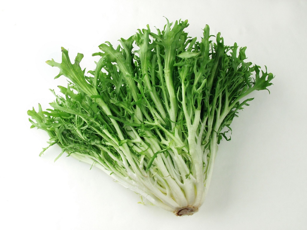 Green Frisse