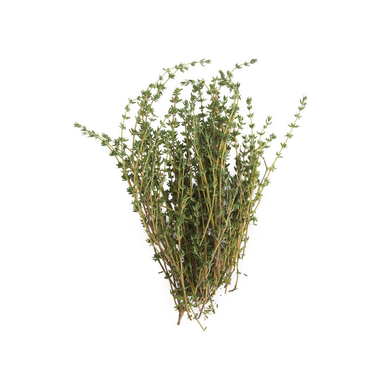 Thyme