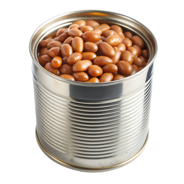 Pork & Beans (can)