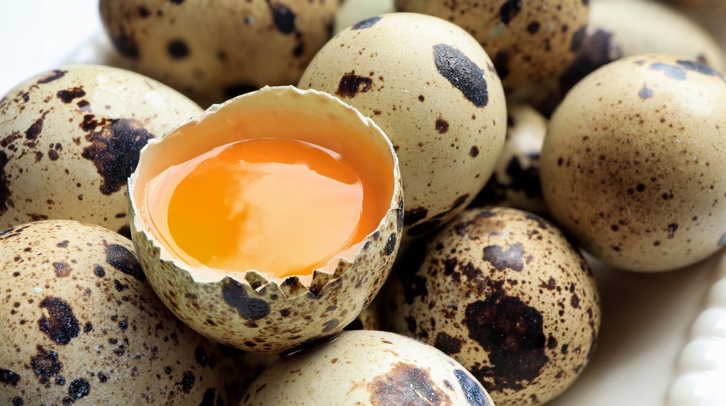 Quail Egg (12pcs/pack)