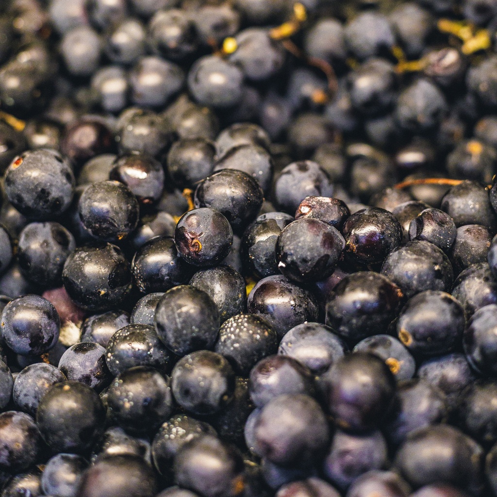 Adora Black Grapes (800-900g/pack) -pc