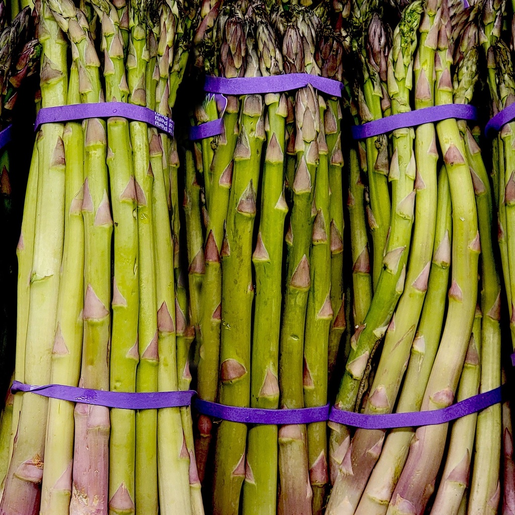 Asparagus Baby Wholesale