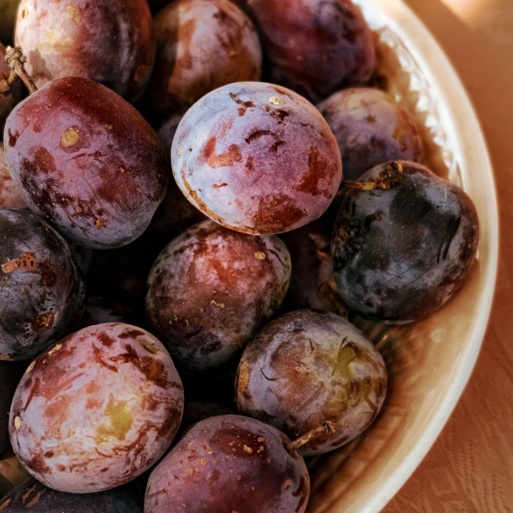 Au Sierra Sweet Plum -Pc
