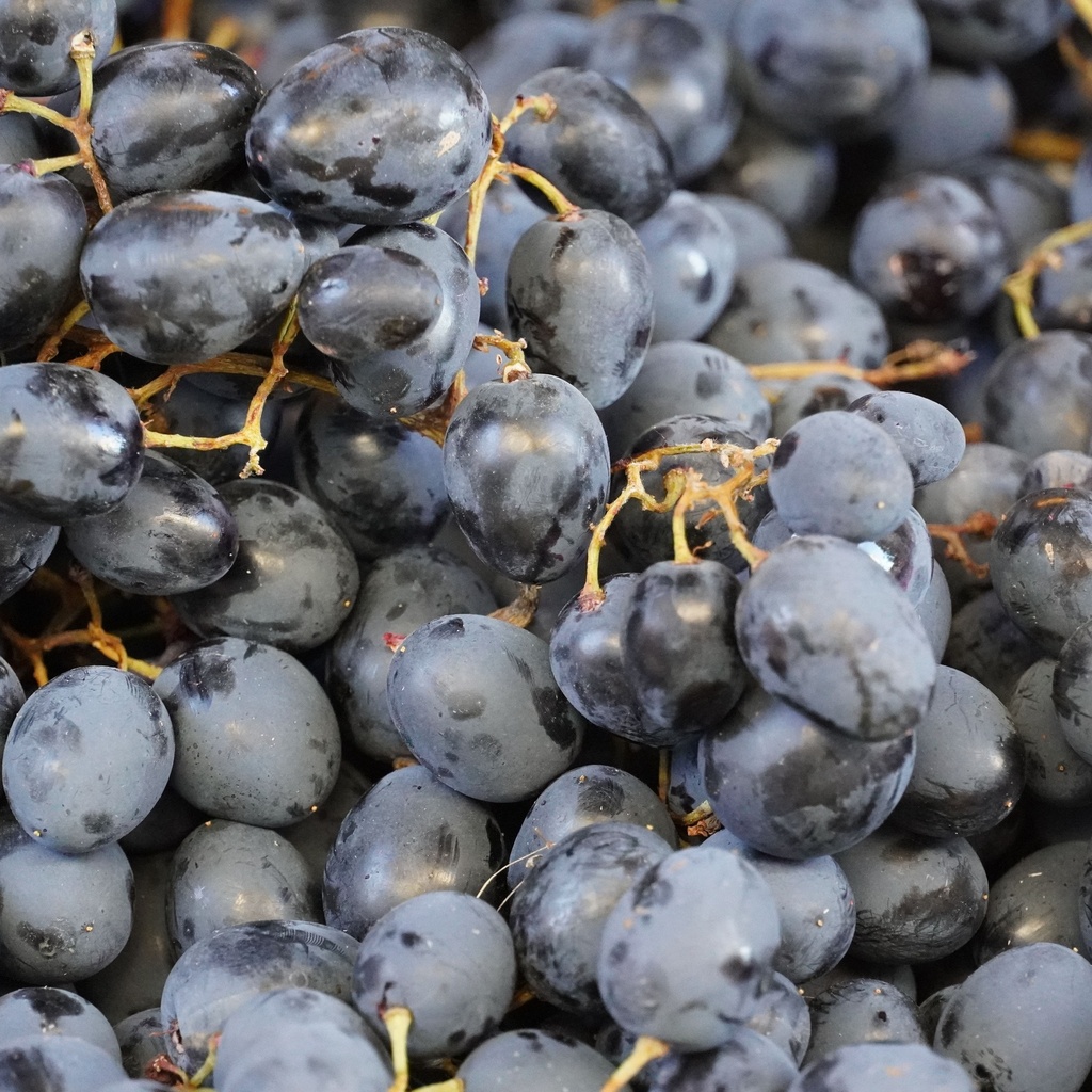 Autumn Royal Black Grapes -Pc