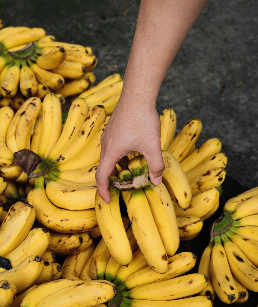 Banana Lakatan Wholesale