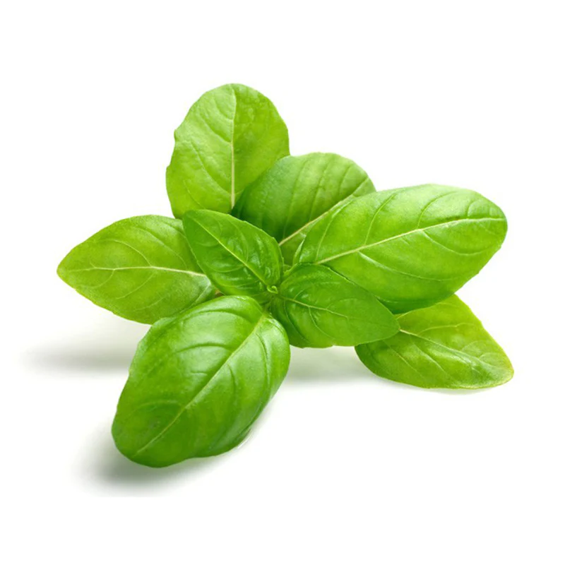 Basil Local