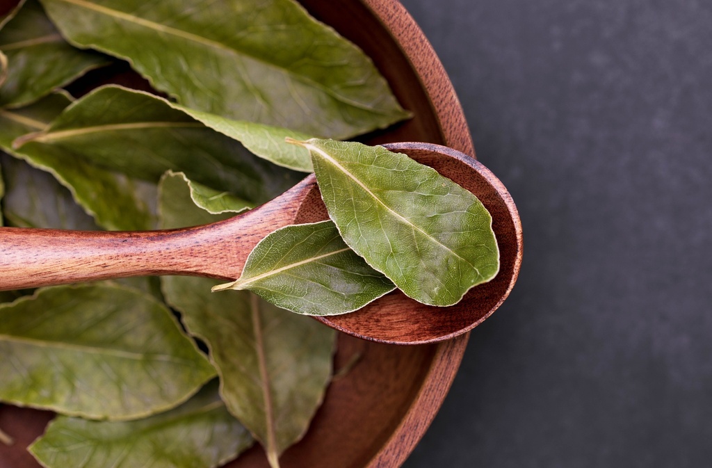 Bay Leaf/ Laurel