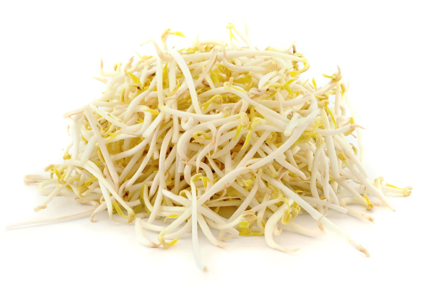 Bean Sprout (Togue)