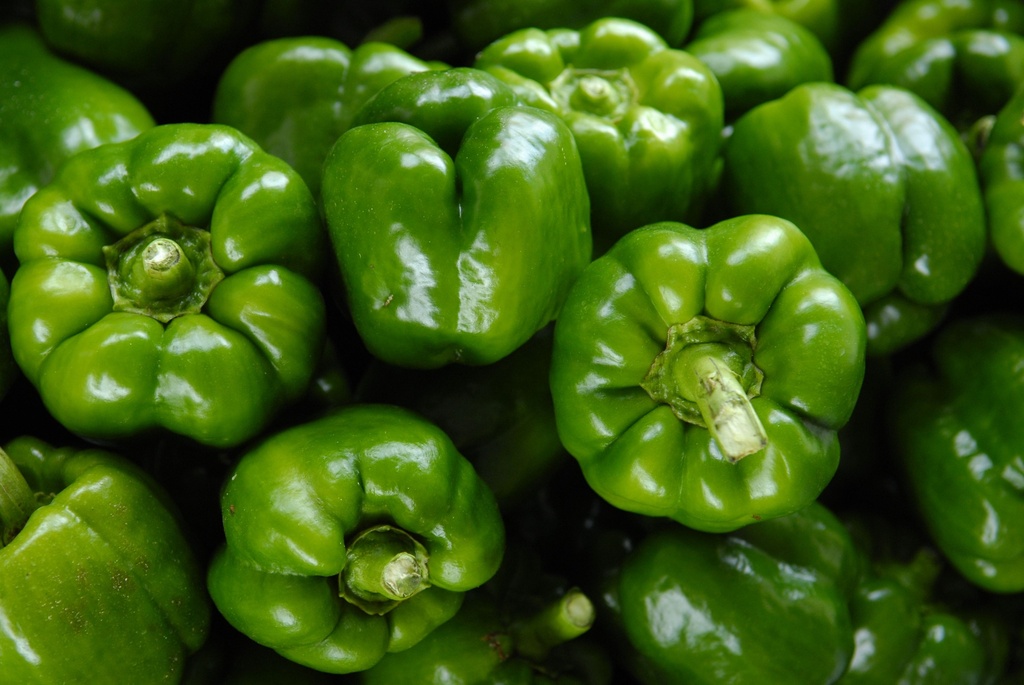 Bellpepper Capsicum Green