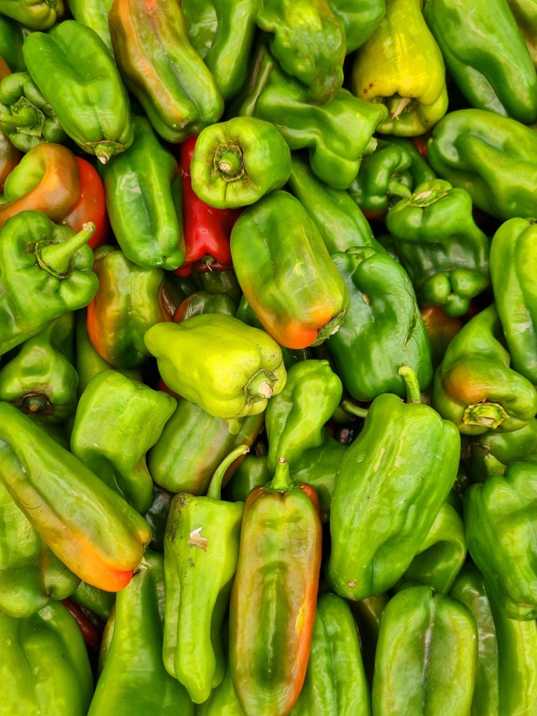 Bellpepper Green