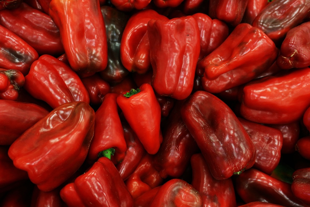 Bellpepper Red