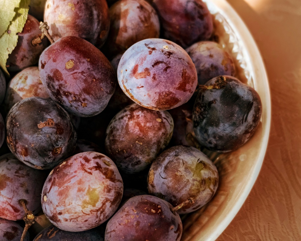 Black Plum -Pc