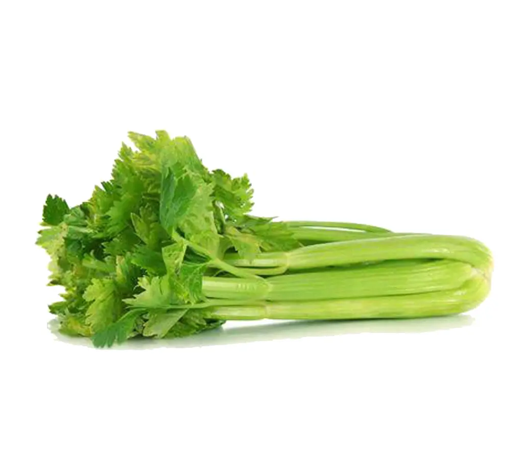 Celery