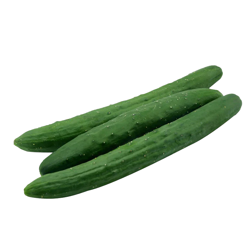 Cucumber Wholesale