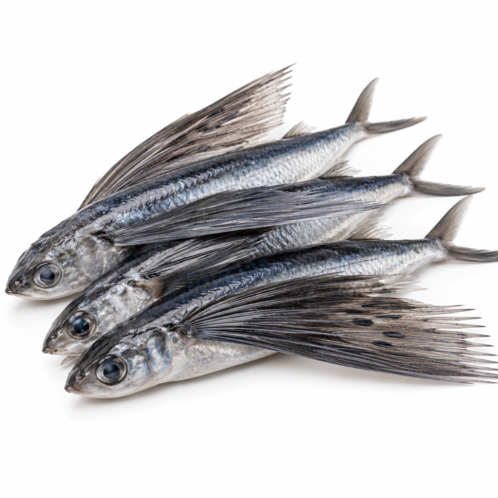 Flying Fish