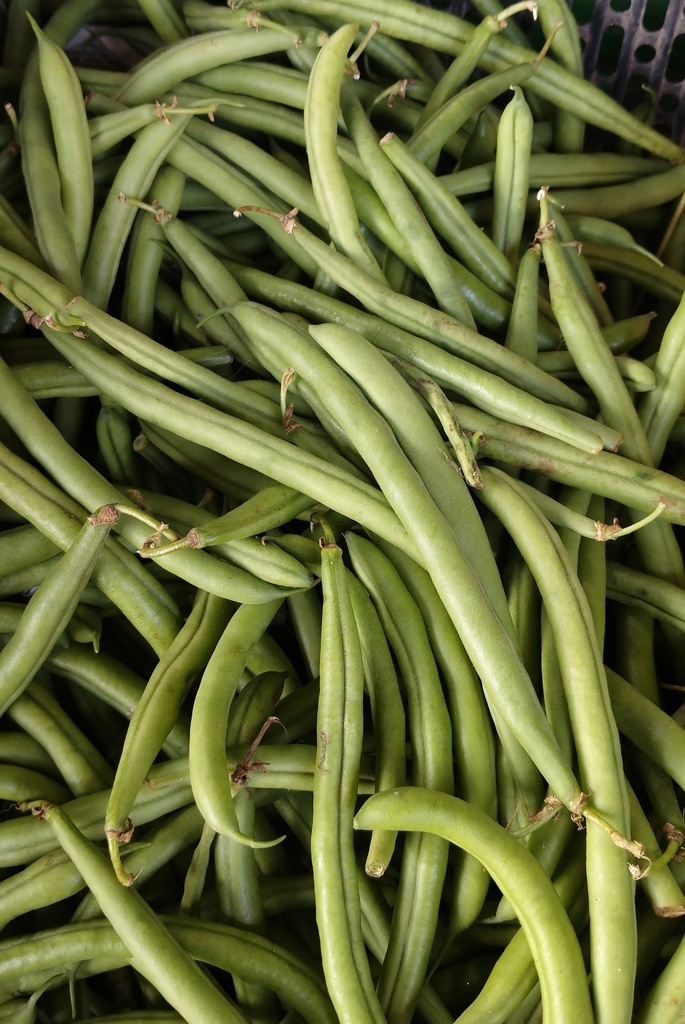 French Beans