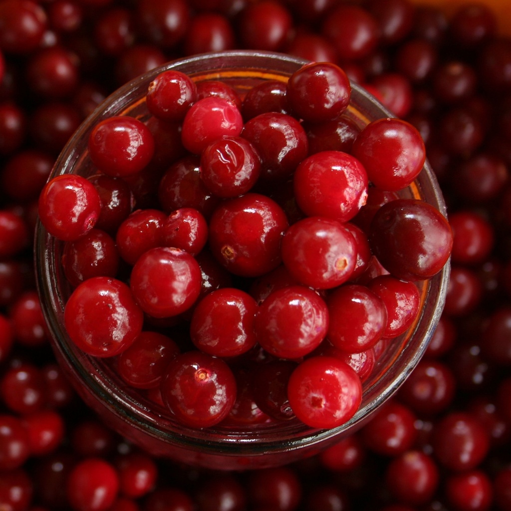 Fresh Cranberries