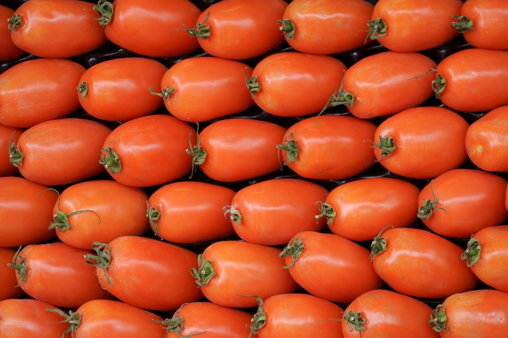 Fresh Roma Tomato