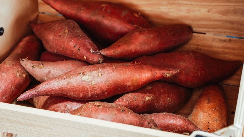 Freshly Harvested Tw Sweet Potato
