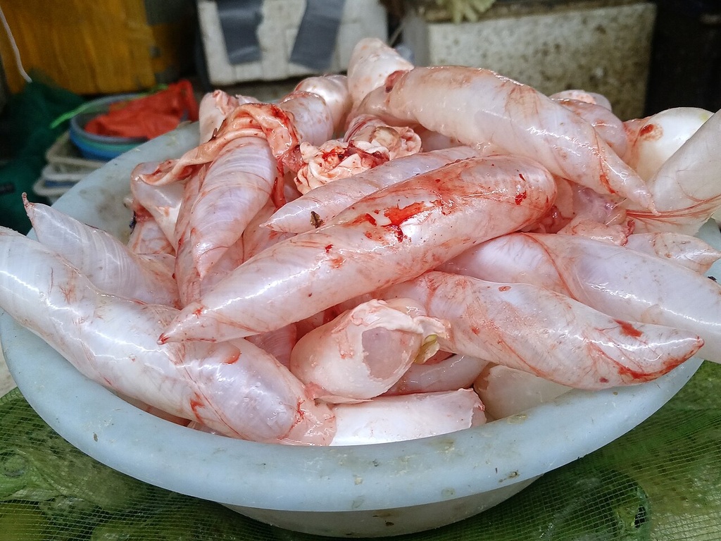 Frozen Fish Maw