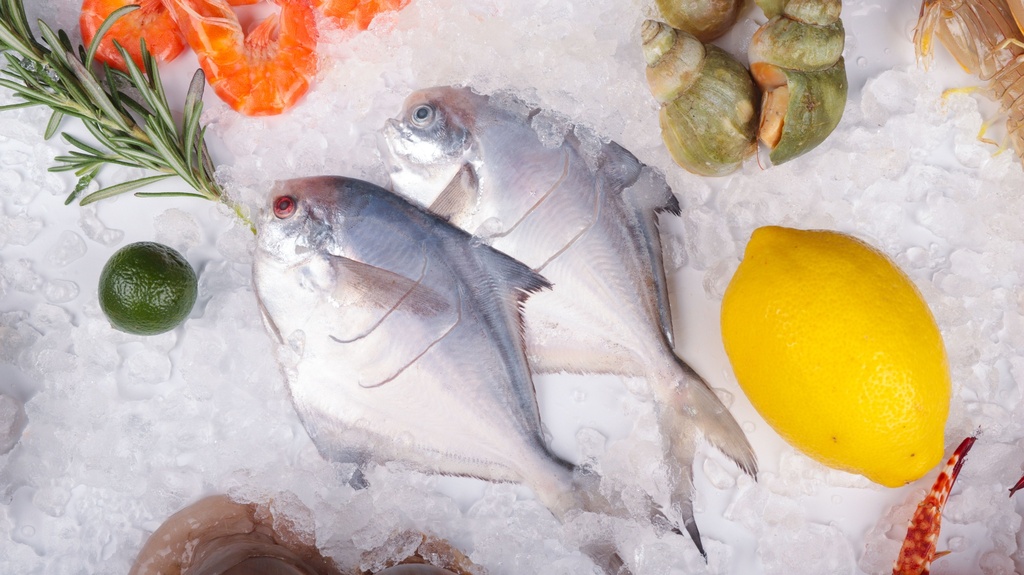 Fresh Pampano