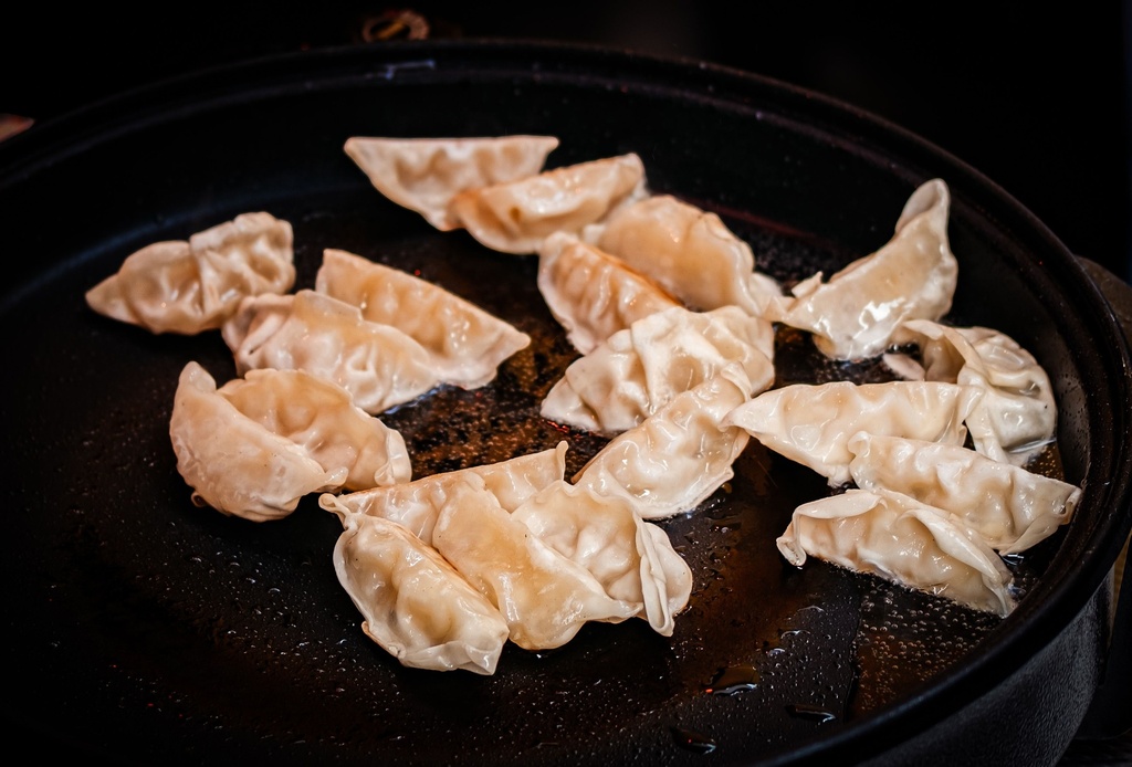 Frozen Pork Gyoza
