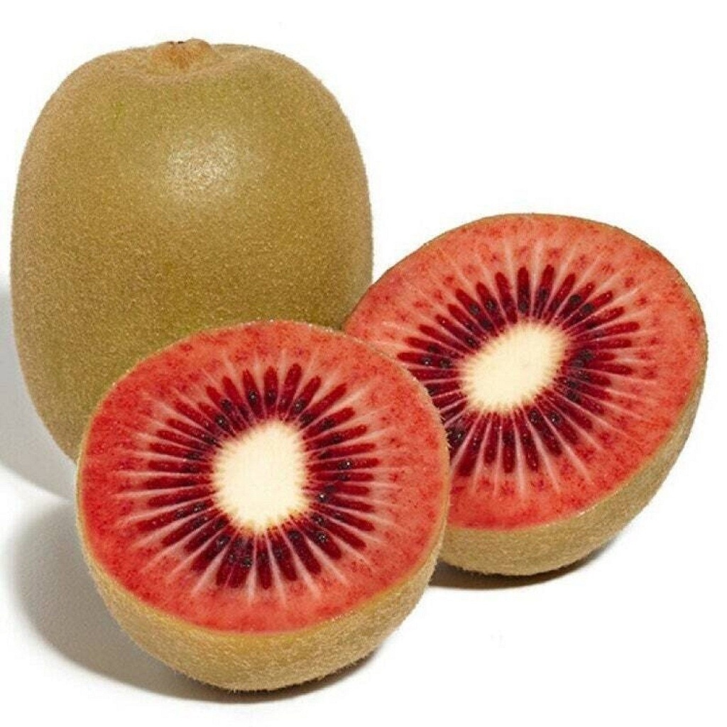 Kiwi Red (3pcs/pack)