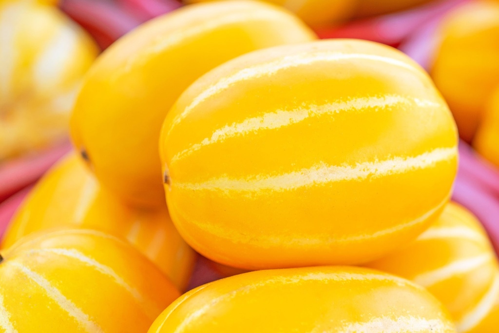 Korean Melon - Pc