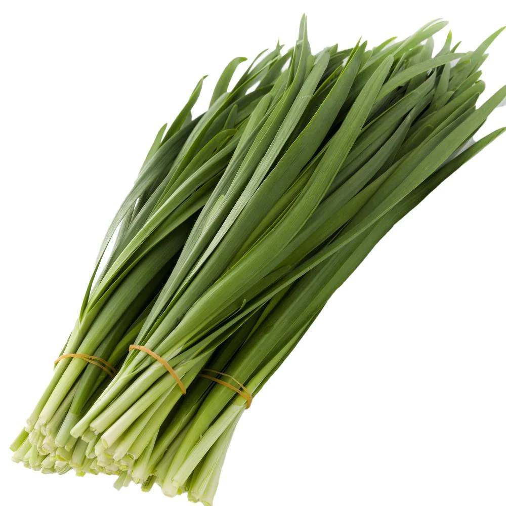 Kuchay (Garlic Chives)