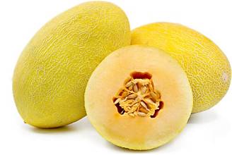 Melon Hami
