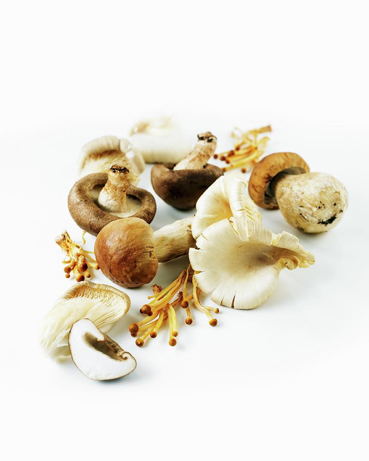 Mushroom Assorted