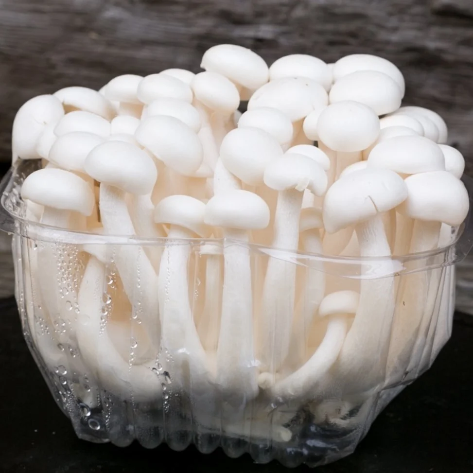 Mushroom White Shimeji 200-250G/Pack