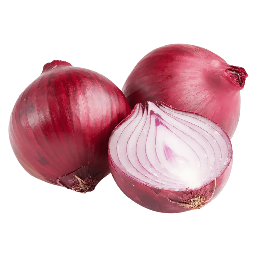 RED Onion Medium