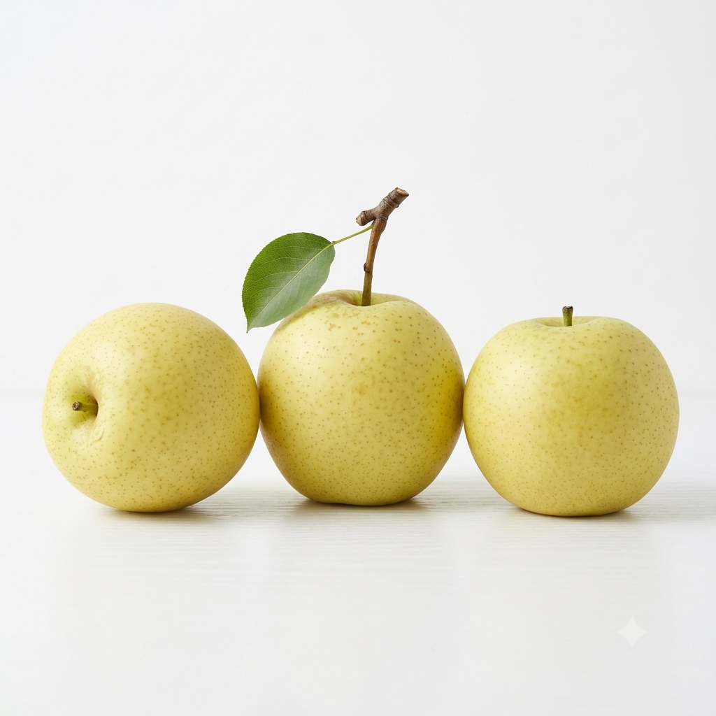 Pear Japan Tottori 