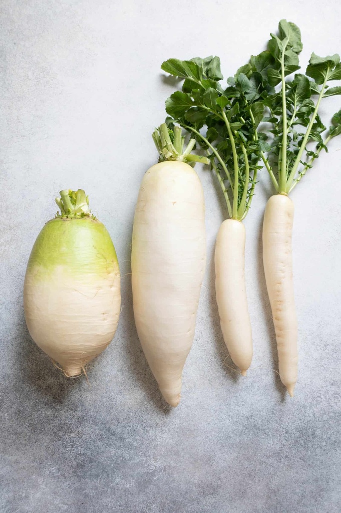 Radish Korean