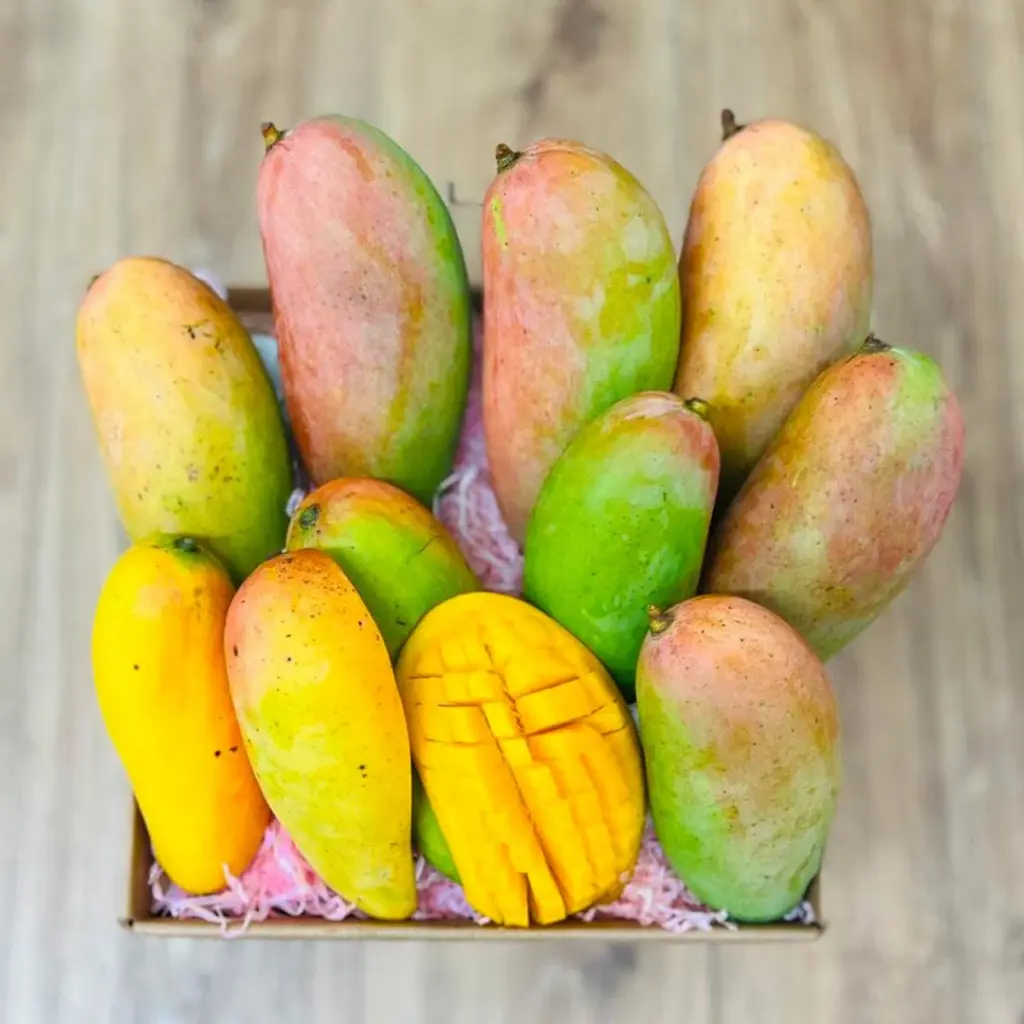 Rainbow Mango