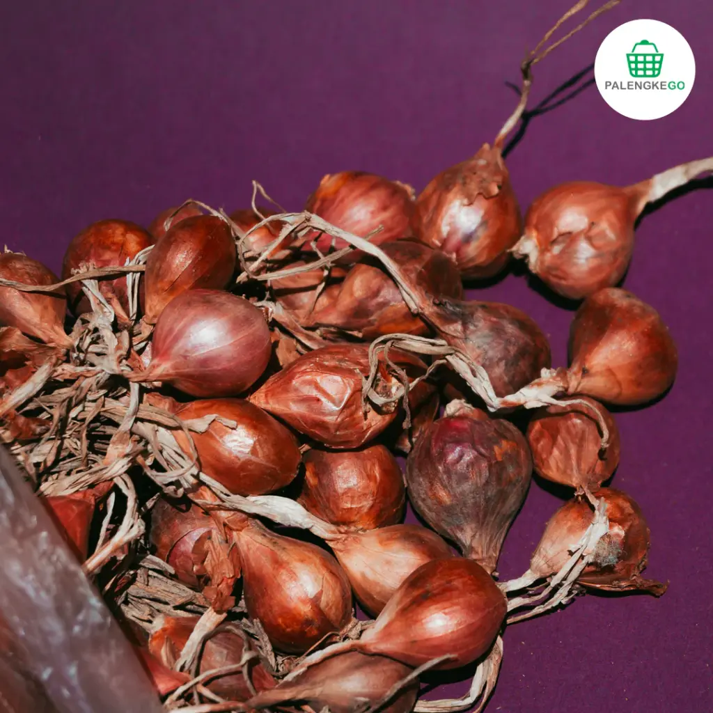 Sibuyas Tagalog (Shallot)