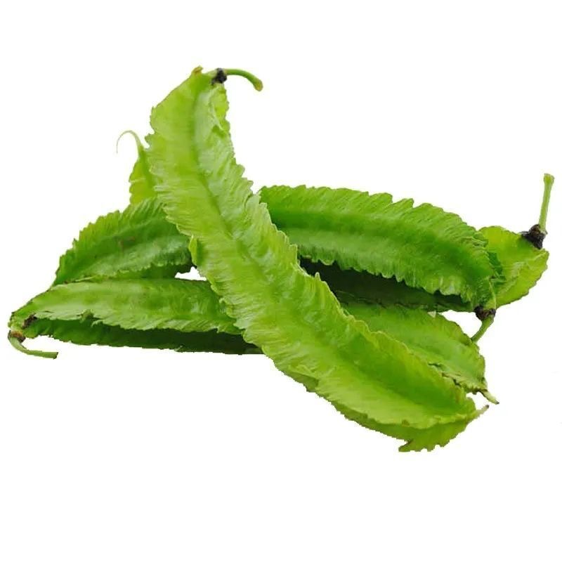 Sigarilyas