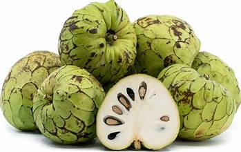 Spanish Cherimoya - Pc