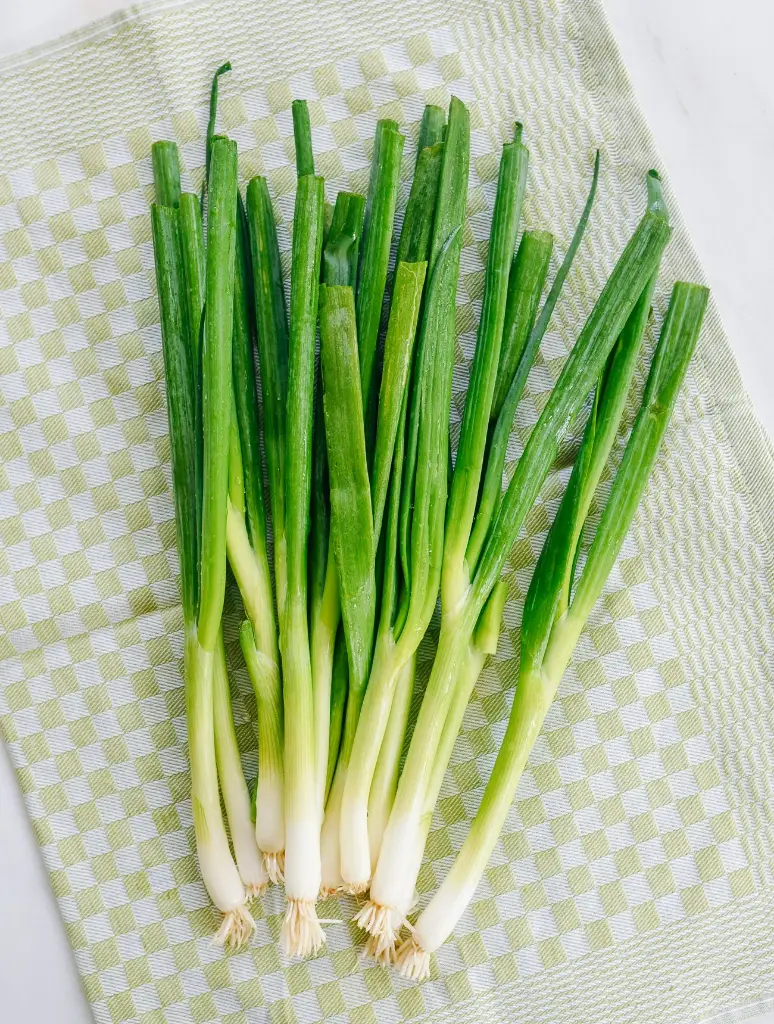 Scallion