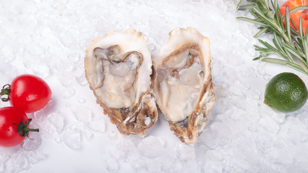 Fresh Oyster (with Shell)