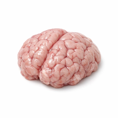 Pork Brain/Utak