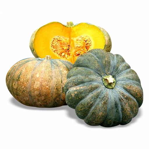 Kalabasa/ Squash (pc)
